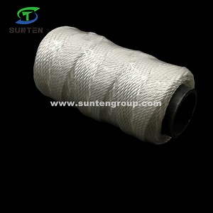 [Hot Item] EU Standard High Tenacity PA/PE/PP/Polyester/Nylon/Polyethylene/Polypropylene Plastic Twisted/Braided/Braid/Baler/Thread/Packing Line/Fishing Net Twine