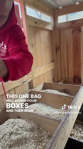 Clean nesting boxes mean Happy Chickens 🐓 😎 #blackyardchichenz #theeggdealer #atlantapodcast #petchickens #pettingzoo #podcast #EGGcellentAdventures | BlackYard Chickenz