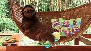 2.1K views · 99 reactions | TFW you’re chilling so hard and Netflix is all “Continue Watching?” Hang w/Sour Brite Sloths and a Pineapple Lime Slurpee from 7-Eleven. | Trolli | Facebook