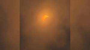 San Diego County Library on Reels