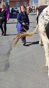 30K views · 702 reactions | DA MONTEBENEDETTO A BORGONE LA...