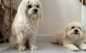 capitalvol1_43_marx tmp fsdfas