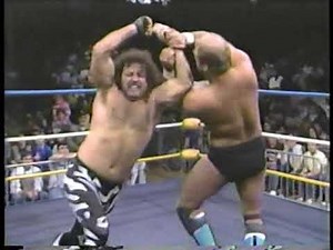 Ole and Arn vs. The Fabulous Freebirds. WCW, 1989.