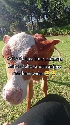 😂