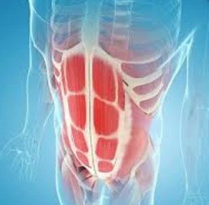 Trigger Point Therapy - Rectus Abdomini