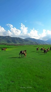 Freedom of the Horses 🐎❤️ by ayaz_tuleyev🎵 Tennessee - HAUSER#horse #horselover #art #nature | Fubiz