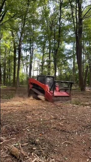 Incredible Tree Grinding Machine
