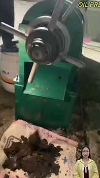 6YL-160 oil expeller how to grinding machine,operator#oilexpeller #6YLoilpress#oilmill#oilpress