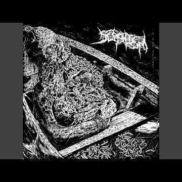 Satiated By Coprophagia