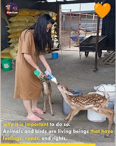 Animals and Birds Need Our Care and Love,😍👌 #animals #animalslover | Fun club