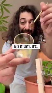 How to get rid of a pimple.. naturally! 🤩🌱 . . . . #pimple #acne #skincare #hacks #lifehack #lifehacks #diy #howto #kitchenhacks #recycle #upcycle #hacks #creativeexplained | creative explained