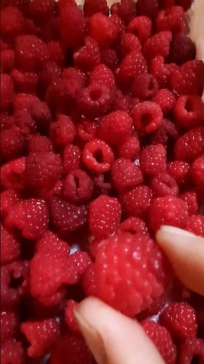 How to freeze raspberries #raspberries