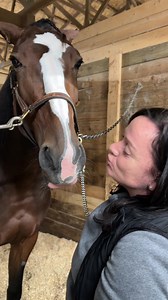BLUE PACIFIC received kisses from her caretaker Diane Lewis. She has post 9 in race 12 in #Crown23 at @HoP_Racing for 2-yr-old pacing fillies. | United States Trotting Association