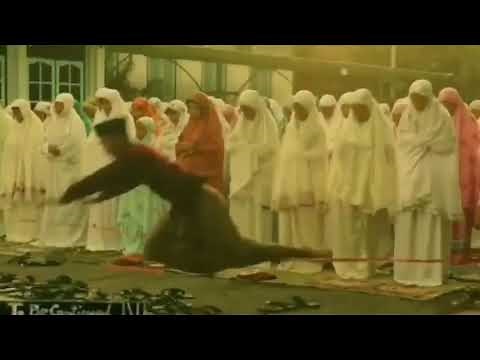 FUNNY VIDEO | BUTTERCUP MEMES COMPILATION | MEME INDONESIA