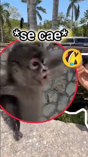 Juan de Dios de la selva 🤭 #kimberlyloaiza #jukilop #juandediospantoja #reels