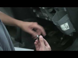 Electronic Control Unit / the On Board Diagnostics protection device