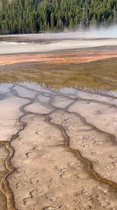 21K views · 1.5K reactions | The stunning Grand Prismatic Spring in Yellowstone National Park, Wyoming…. #kooldeadwoodnitestour2024 | Route 66 Tours | Facebook
