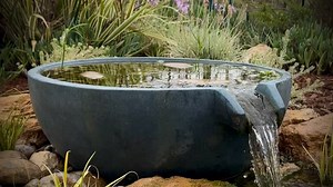 Bird (flock) bath 😉 Corona, CA | Flow Landscape / Flow Aquascapes
