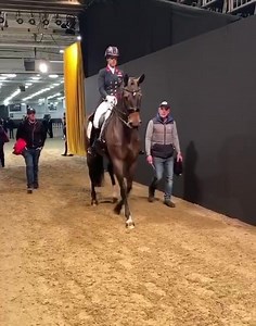Charlotte Dujardin makes her #OlympiaHorse2019 entrance! | The London International Horse Show
