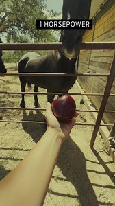 Horse and horsepower. | Sands Ford of Pottsville | Facebook