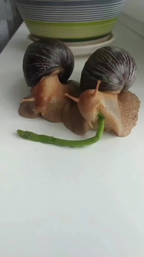 Explore Earth on Reels