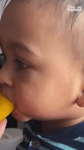 Babies tasting the sour flavors for the first time 🍋 | All The Babies