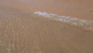 #trilandexcursiontour Second stop was Santa Maria where the Trialand Excursion delegation spent the mid morning doing water activities including rafting and some swimming. | Eswatini Positive News