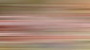 CAJA ICA 🔴 SABEMOS QUE DETRÁS DE CADA NEGOCIO HAY UNA HISTORIA DE ESFUERZO. SOMOS CAJA ICA Te ayudamos a seguir creciendo con soluciones pensadas para ti. 🌟 Para que tu negocio no se detenga. 👉 Visita tu tienda más cercana y descubre cómo impulsar tu emprendimiento. | Canal 9- Ica en la Noticia