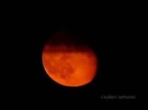 Fausto Papetti-Blue Moon(cлайд-клип)