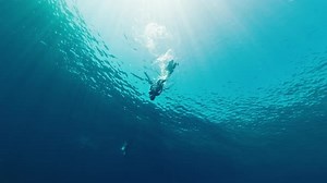 Freediver swims in the tropical sea. Man free diver dives and glides underwater in a sea