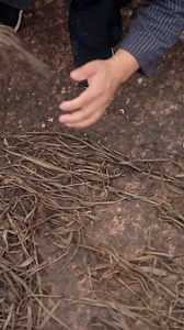 96K views · 444 reactions | Ancient papermaking technique, white cotton paper | Sri Parisaramma Agri Solution | Facebook