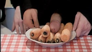 Education of the Baroness 1977