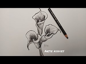 Calla lily flower charcoal pencil simple drawing, step by step