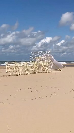 Architecture & Design | Strandbeests are a series of kinetic sculptures created by Dutch artist @TheoJansen_Official. These sculptures are designed to move and... | Instagram
