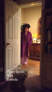 Piper loves rolling around on wet towels and she has her eye on the towel on sister Sarah’s head—she’s very persistent ❤️ | The Piper Chronicles