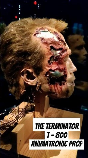 Arnold's Animatronic Terminator T-800 Head Prop @ The Academy Museum, 360° View