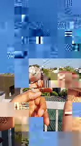 Opaline Dilute at Opa split Dilute😉 💯🦜❤️ #hobbynidaddy #africanlovebirds | HOBBY NI DADDY