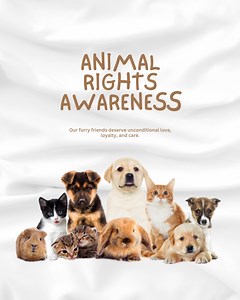 4.2K views · 41 reactions | Our four-legged friends matter to us! ...