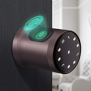 [Hot Item] Digital Lock Smart Biometric Door Knob, Fingerprint Door Lock Door Lock, Outdoor
