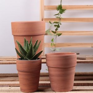 [Hot Item] Decorative Handicrafts Hand-Painted Terra-Cotta Clay Pots for Plants