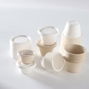 [Hot Item] 4oz Takeaway Bagasse Biodegradable Disposable Pulp Paper Paste Cup