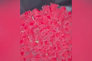 Florence El Luche on Reels