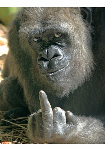 Unexpected Ronaldo Football Skills Compilation