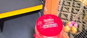 13 reactions · 3 comments | Our brooder for 5 week old chicks and the "chicken containment and transportation unit" | Two Creative Chicks | Facebook