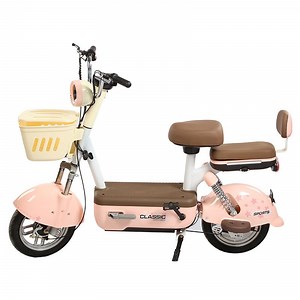 [Hot Item] High Quality Electric Bicycle NFC Start 350W Brushless Motor Adult Electric Bike