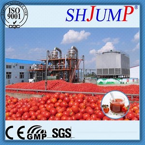 [Hot Item] 3t Processing Capacity Kiwi Paste Processing Machine