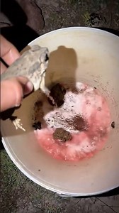 Frogs and lizards make you laugh | Catch the last big frog Hahaha | Catch frog |Tep longheng 🤣