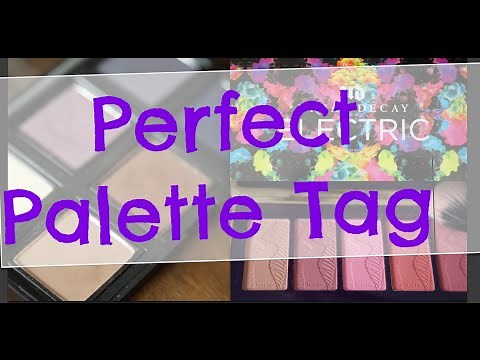 The Perfect Palette Tag!! (Makeup Tag + Questions & Answers!)