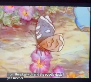The Tale of Tom Kitten & Jemima Puddle Duck | CENİN | Facebook