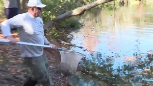 Trout stocking underway for the season at Armistead Pond in Hampton